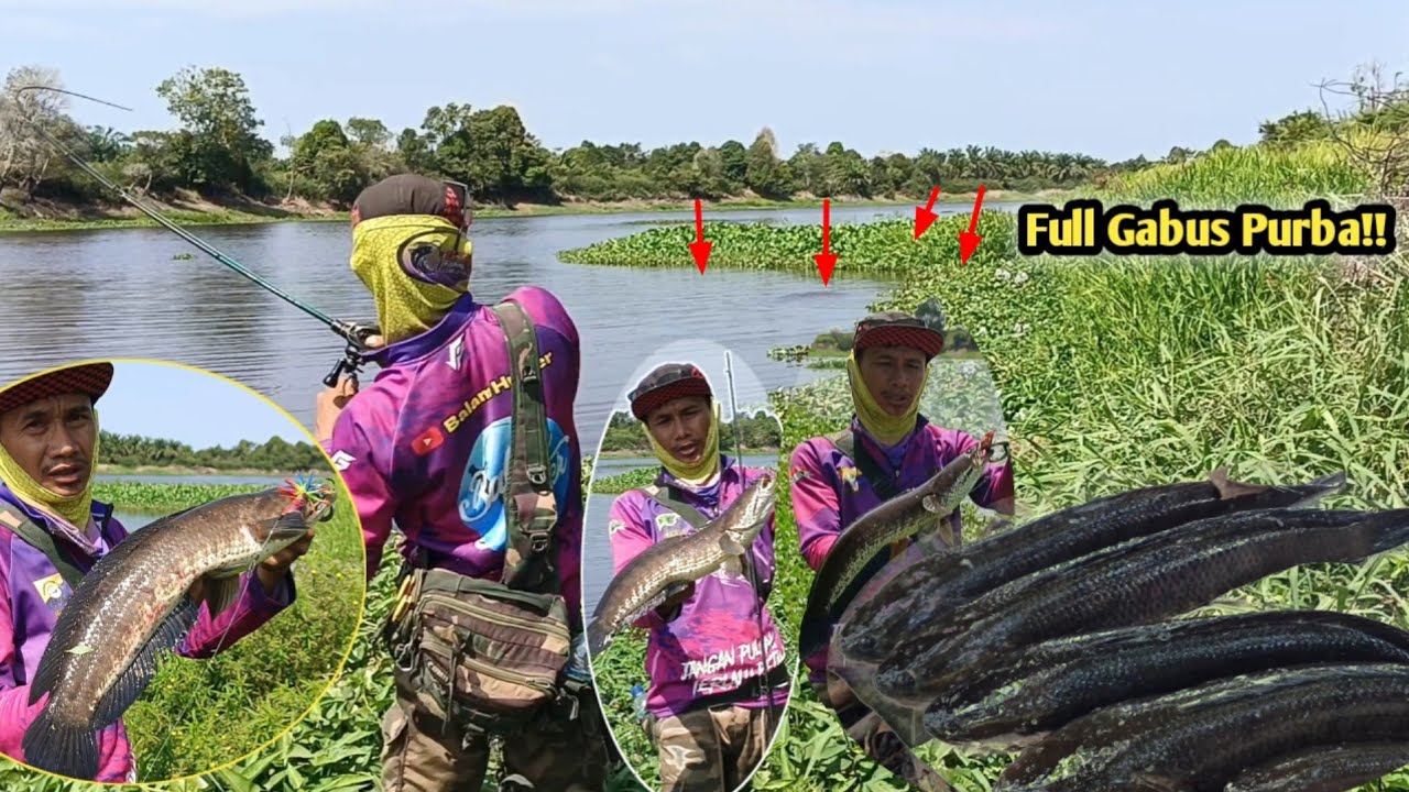 CASTING DIDANAU IKANNYA MONSTER SEMUA