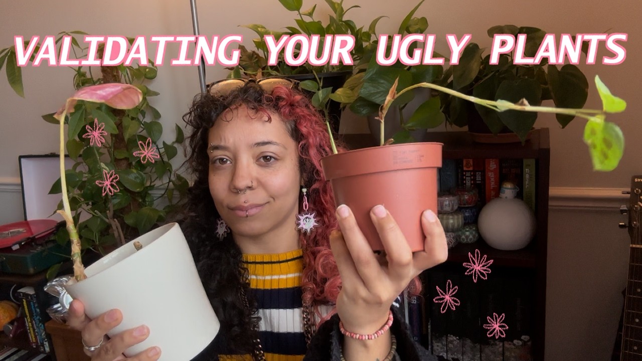 Tour of my neglected house plants