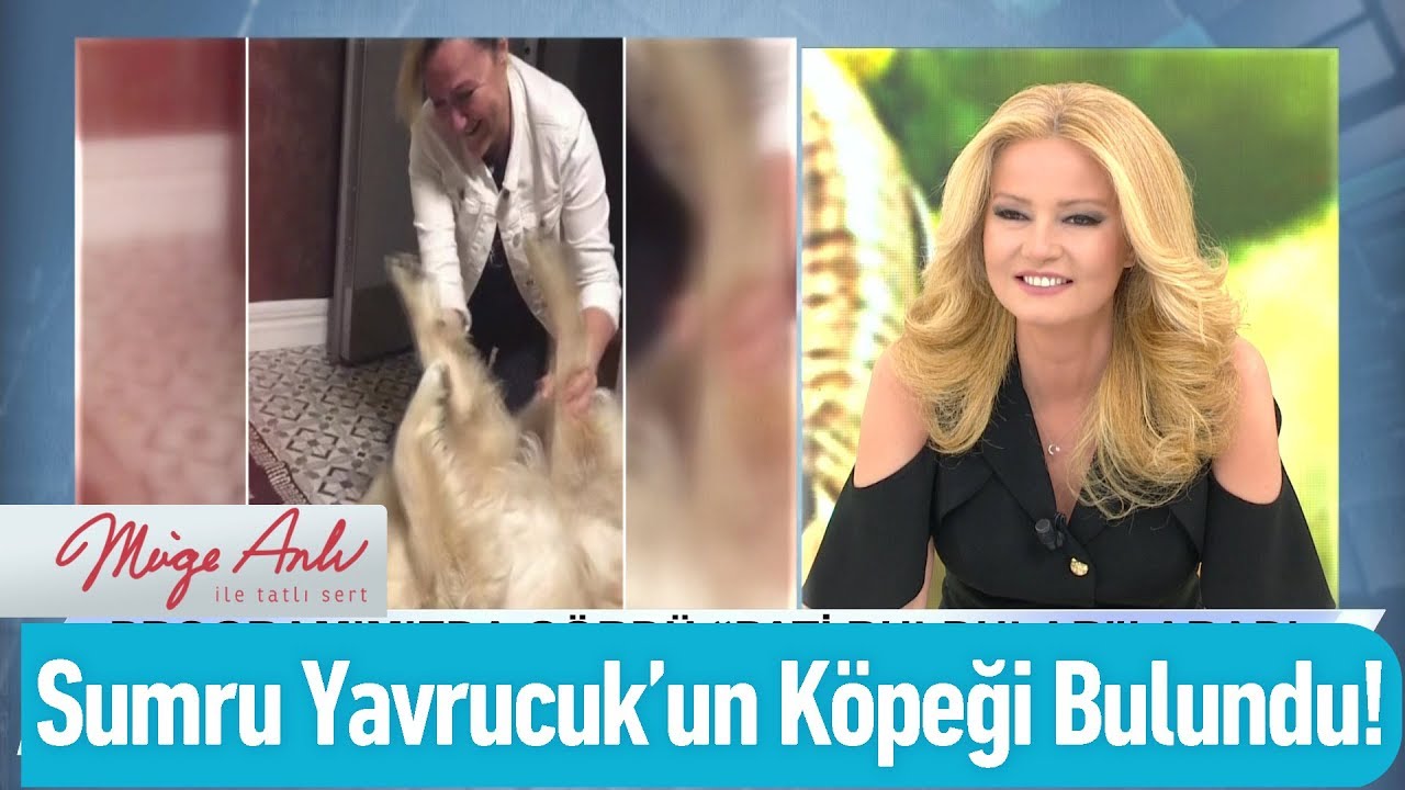 Sumru Yavrucuk'un k&ouml;peği bulundu! - M&uuml;ge Anlı İle Tatlı Sert 3 Haziran 2020