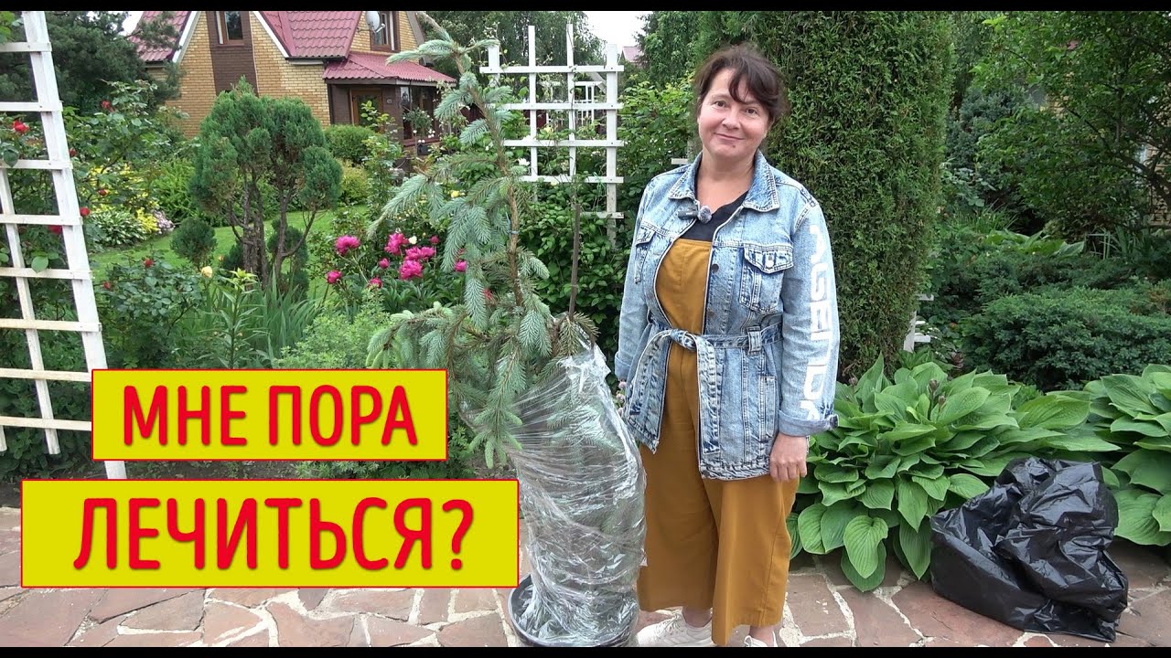 САД НАИЗНАНКУ. Когда все показывают красивые картинки - я показываю все, как есть!
