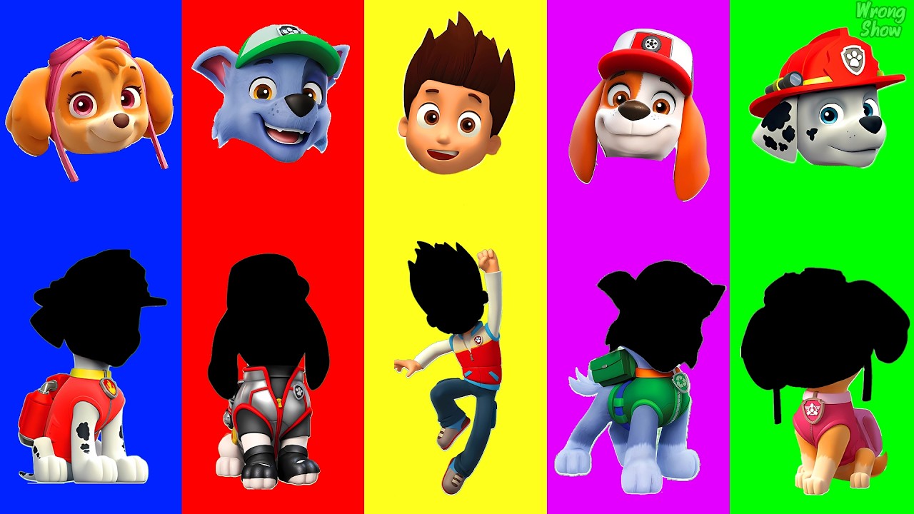 Wrong eyes 👀 Paw Patrol Family Friendly Full Episodes - DAME TU COSITA Funny Puzzle Wrong Heads #53