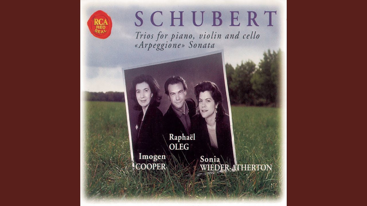 Sonata for Arpeggione and Piano in A Minor, D.821: I. Allegro moderato
