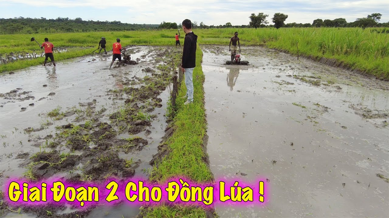 Linh Philip || Giai Đoạn 2 Cho Khu Vực Cánh Đồng Lúa Trong Việt Phi Farm !