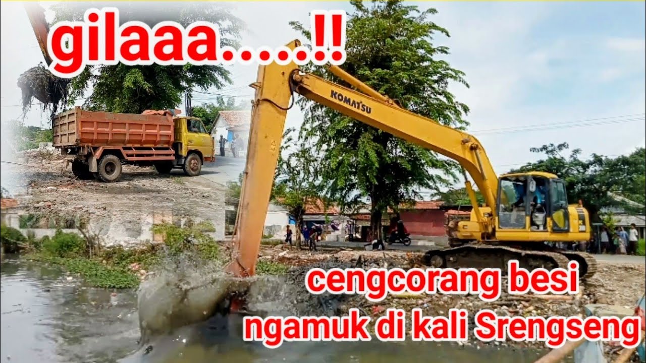 CENGCORANG NGAMUK DI KALI SERENGSENG 