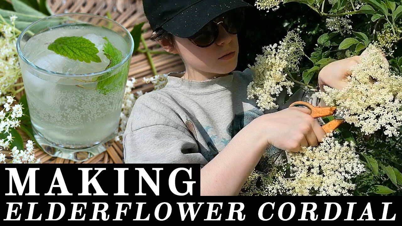 Making Homemade Elderflower Cordial in just 3 days! (& EPIC champagne fail)