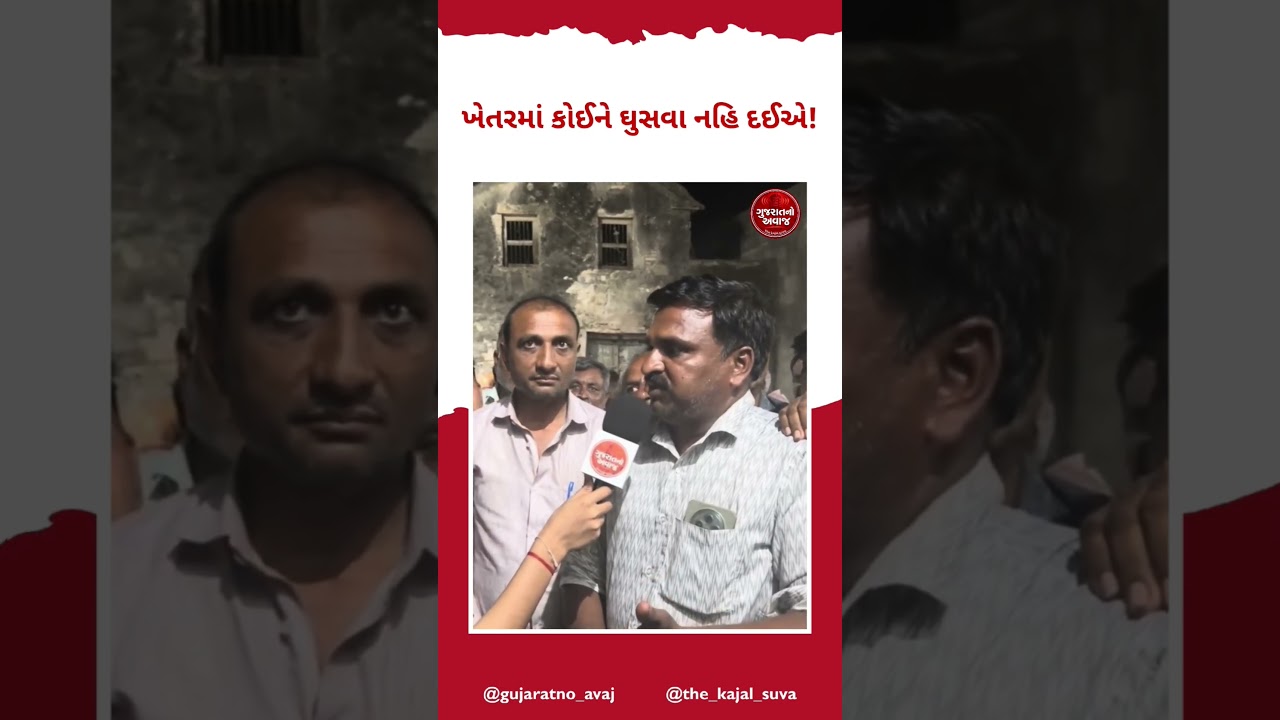 ખેતરમાં કોઈને ઘુસવા નહિ દઈએ!#kajalsuva #gujaratnoavaj #gujarati #gujarat #khedut #brekingnews  #news