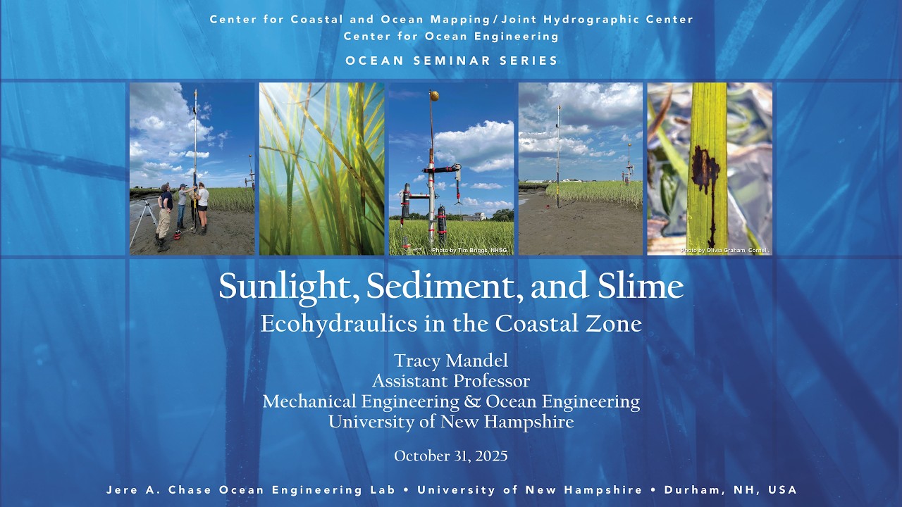 Sunlight, Sediment, and Slime: Ecohydraulics in the Coastal Zone