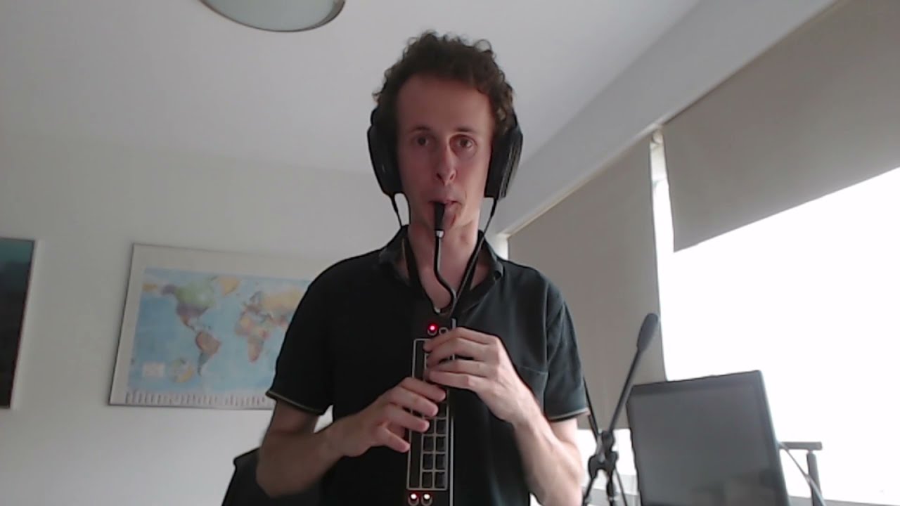 Joking Motive ~ Tateyuki Shigaraki's Theme (Gyakuten Kenji 2) - Eigenharp Pico Cover