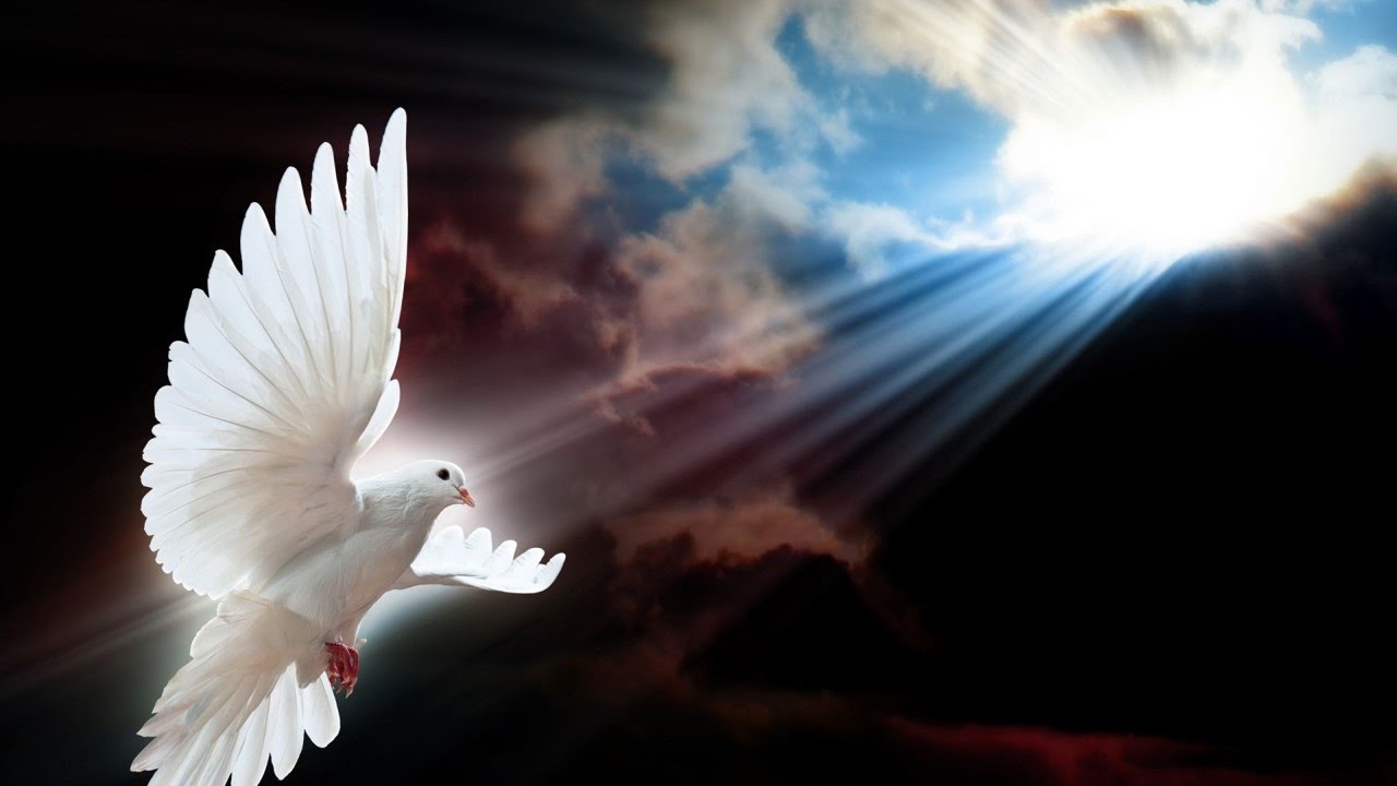 Oración al Espíritu Santo - Oraciones Católicas
