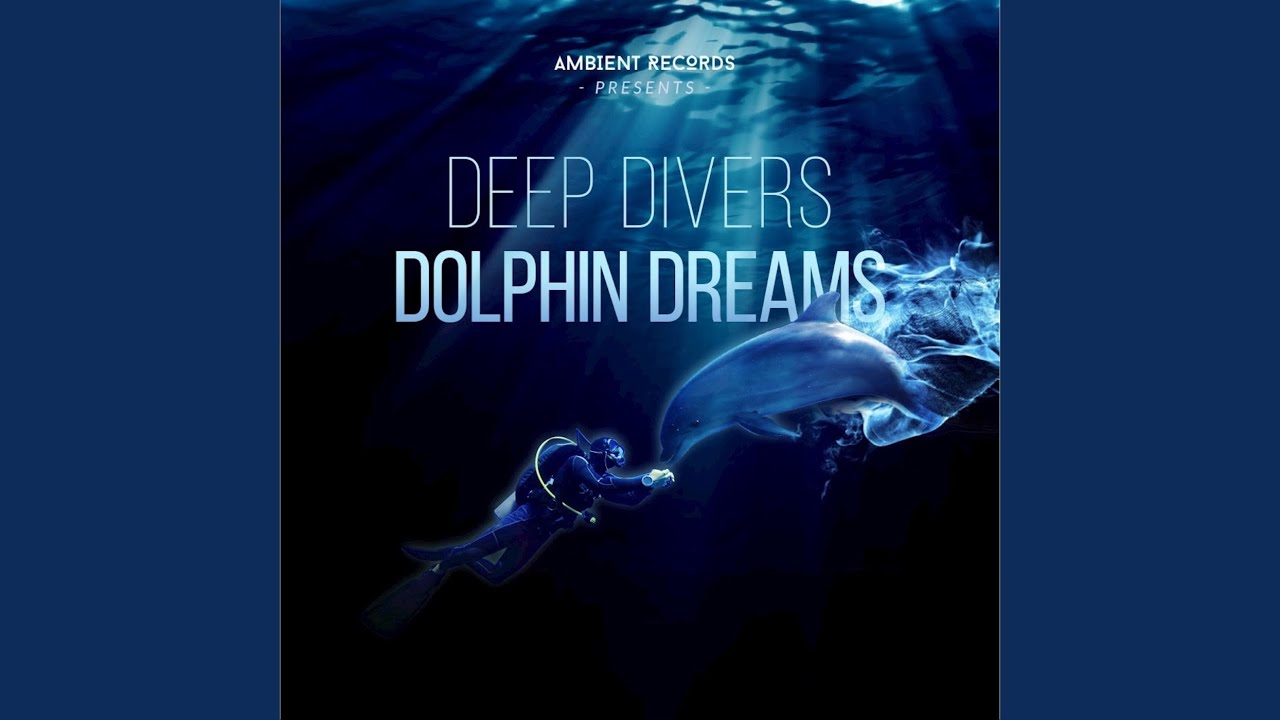 Dolphin Diver