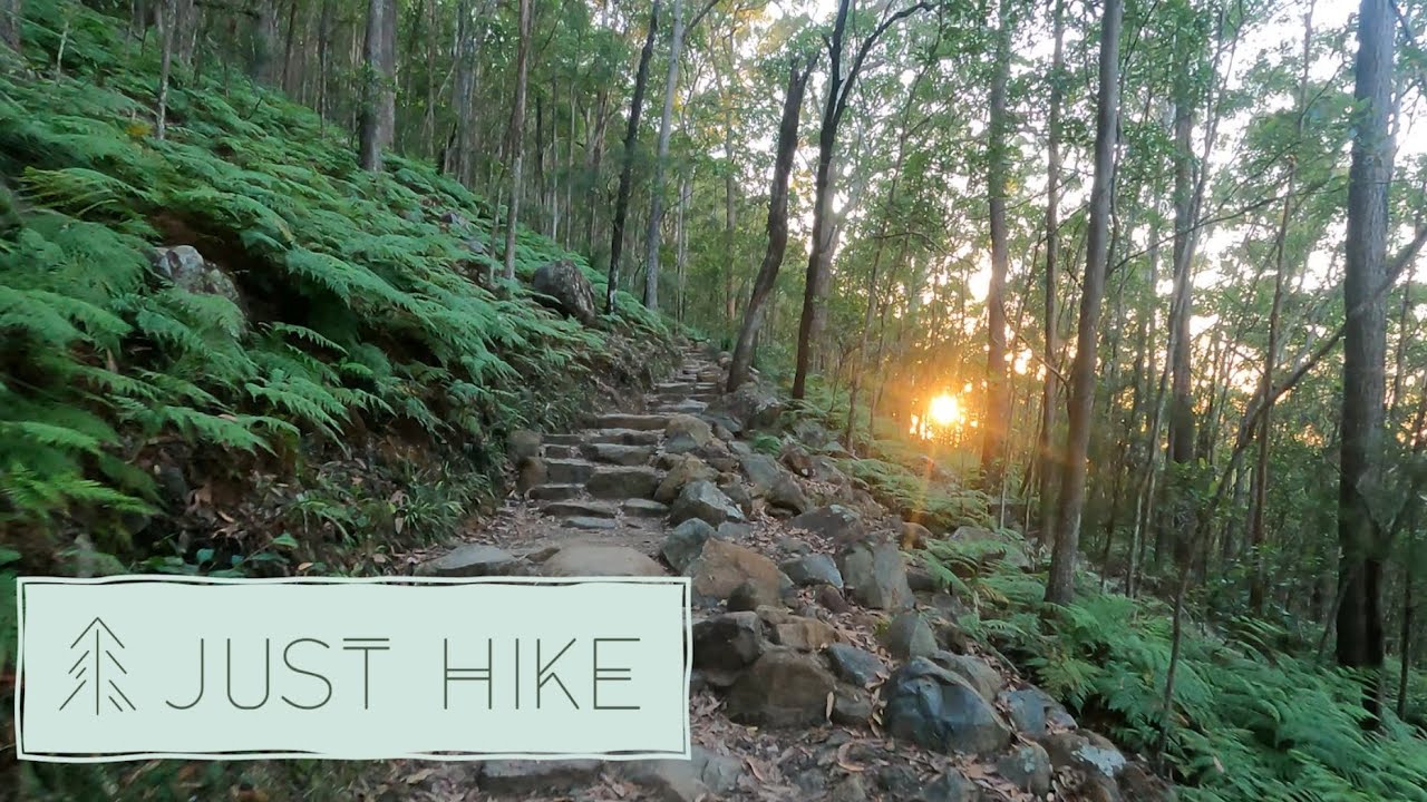 4K sunrise walk- Peaceful POV mountain walk alone through the forest at sunrise