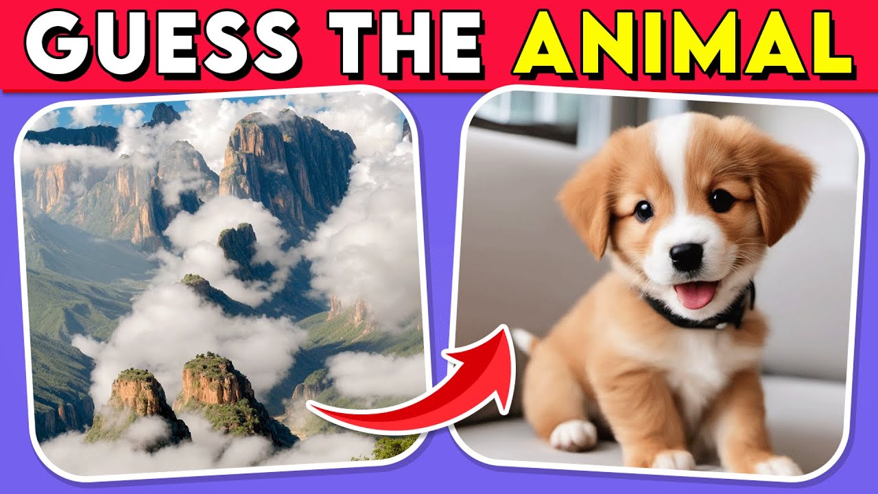 Guess the Hidden Animal by ILLUSION 🐶🐵🐈 Easy, Medium, Hard Levels