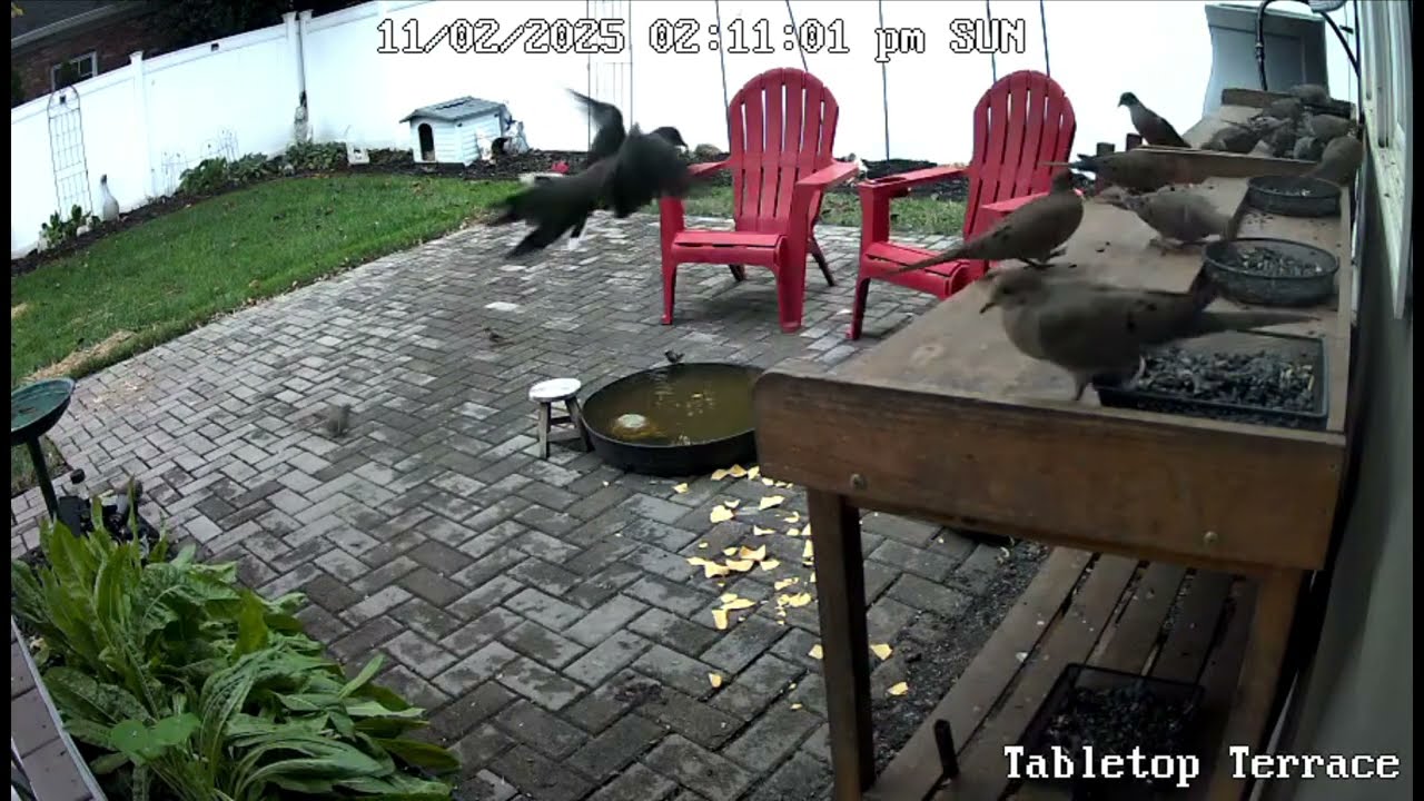 180 - SUNRISE SHENANIGANS