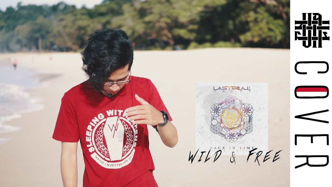 LAST GOAL! PARTY - WILD AND FREE Cover by Vanfan
