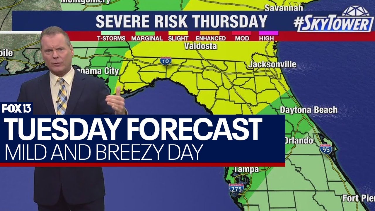 Tampa weather | breezy week leads to rain Thursday