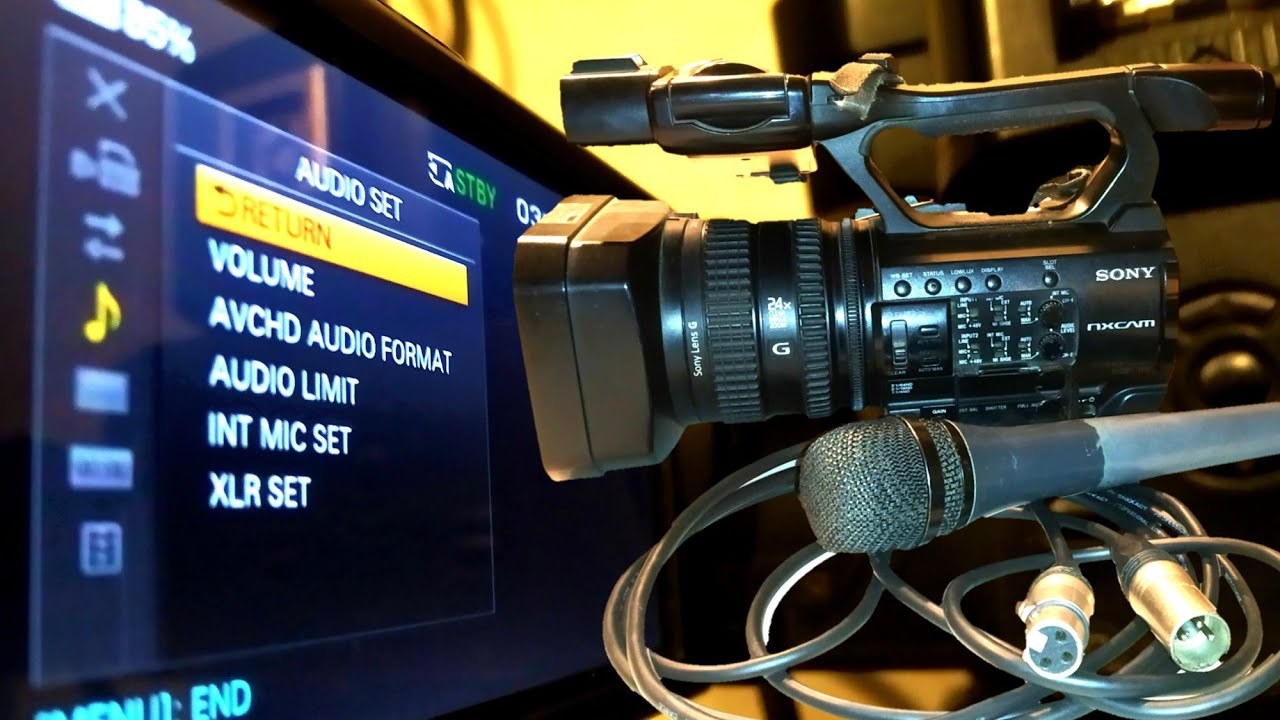 Sony NX100 Audio Settings