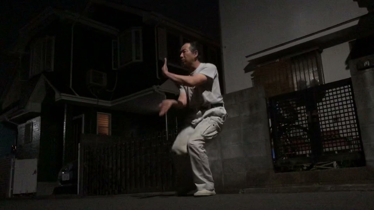 陈氏太极拳小架一路(活歩）