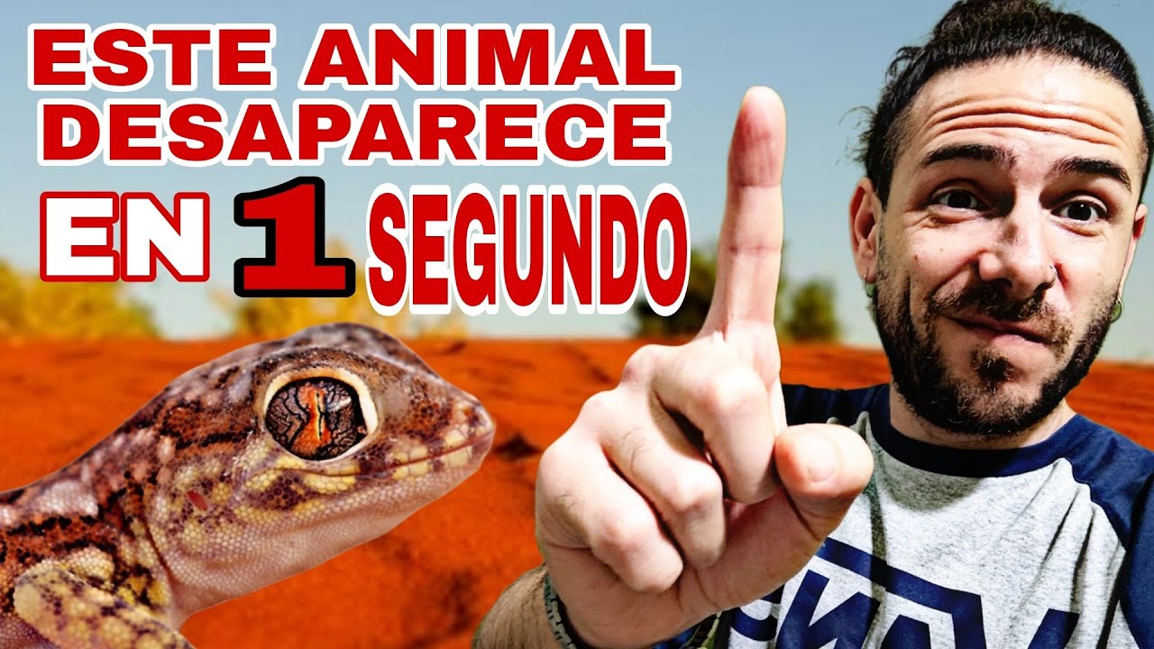 Lo que ESCONDE el DESIERTO... | SERES INVISIBLES y SERES que DESAPARECEN!!! 😮😮😮
