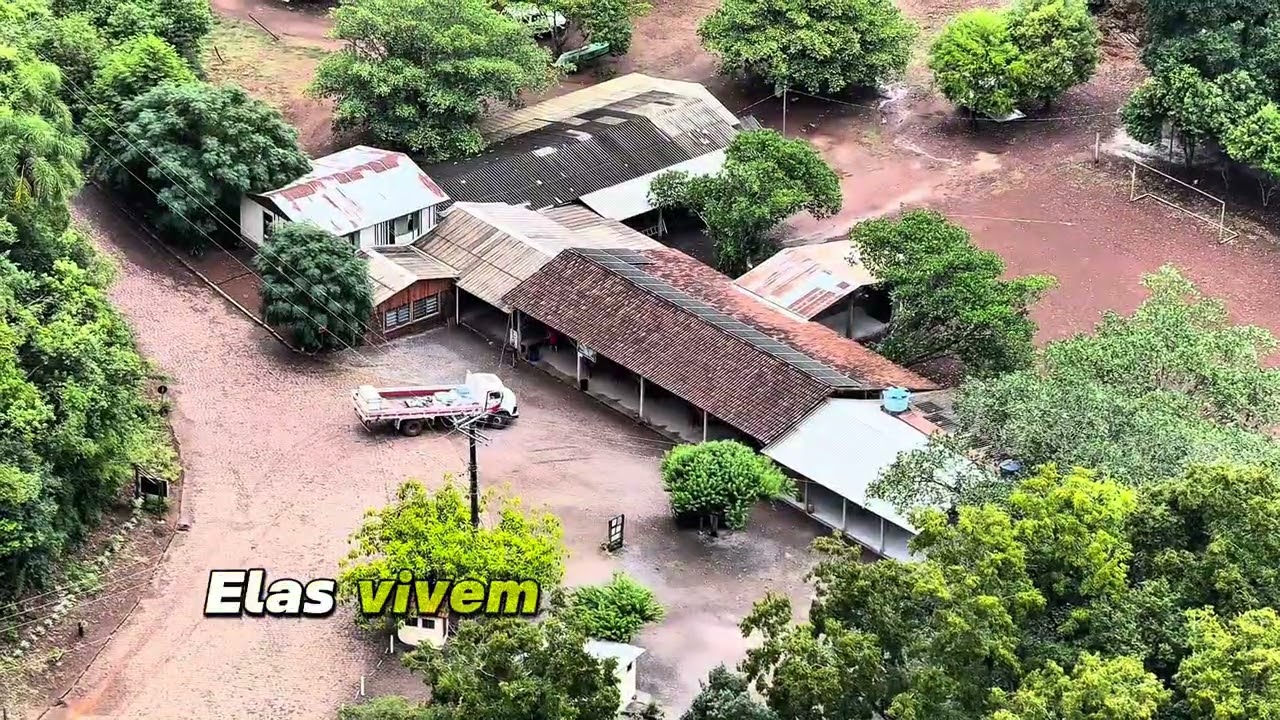 🚆 Viaduto 13: o maior viaduto da América. Esconde histórias que ninguém explica.  😈
