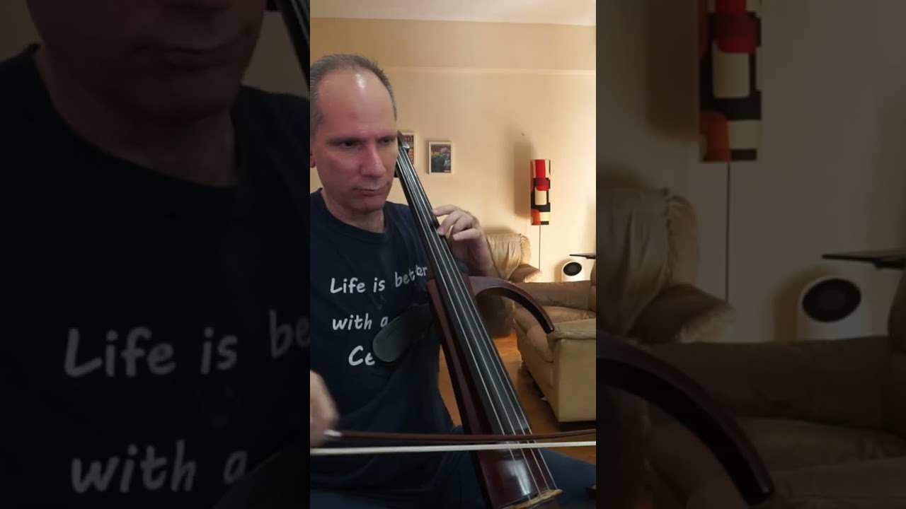 Desert Rose, Sting | Cello Cover