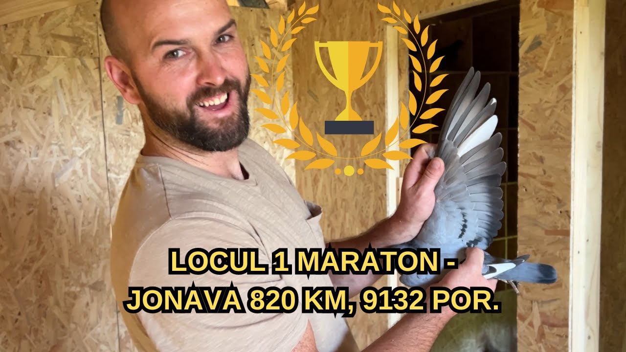 LOCUL 1 MARATON - JONAVA, 820 KM. 9132 PORUMBEI - TUGUI MIHAI SI DEL DIN VICOVU DE JOS
