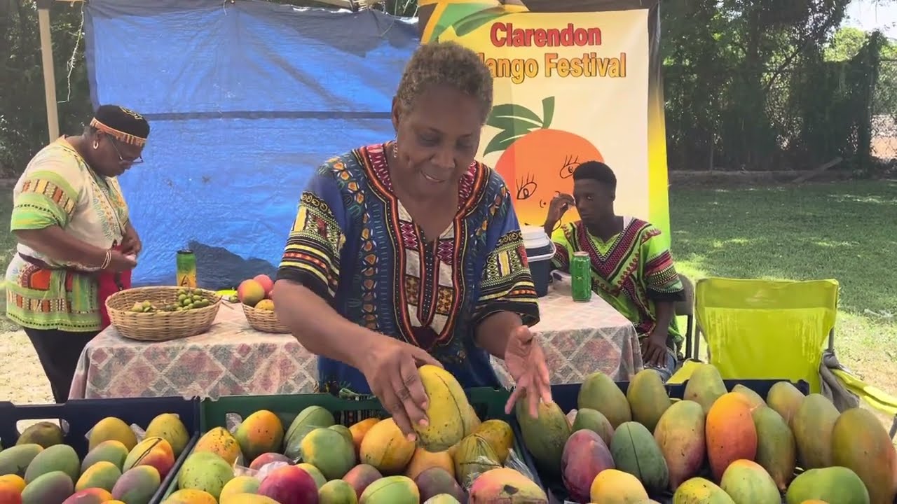 Natural Farmers Market in Kingston, Jamaica