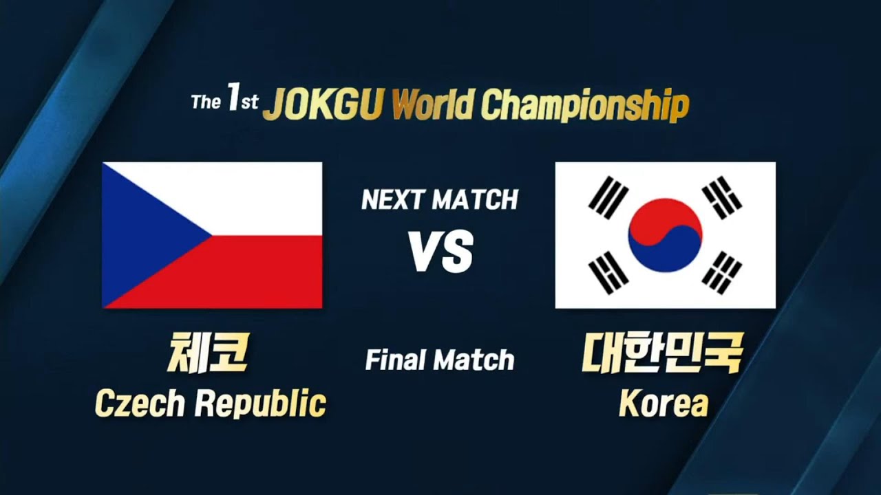 제1회 세계족구대회 /대한민국 VS  체코 / The 1st JOKGU WORLD CHAMPIONSHIP /  KOREA vs Czech Republic  (finals)