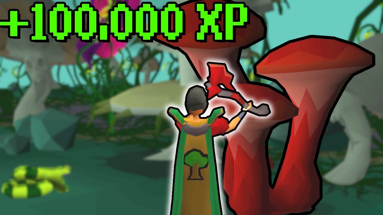 The best AFK woodcutting XP in OSRS | Sulliusceps guide