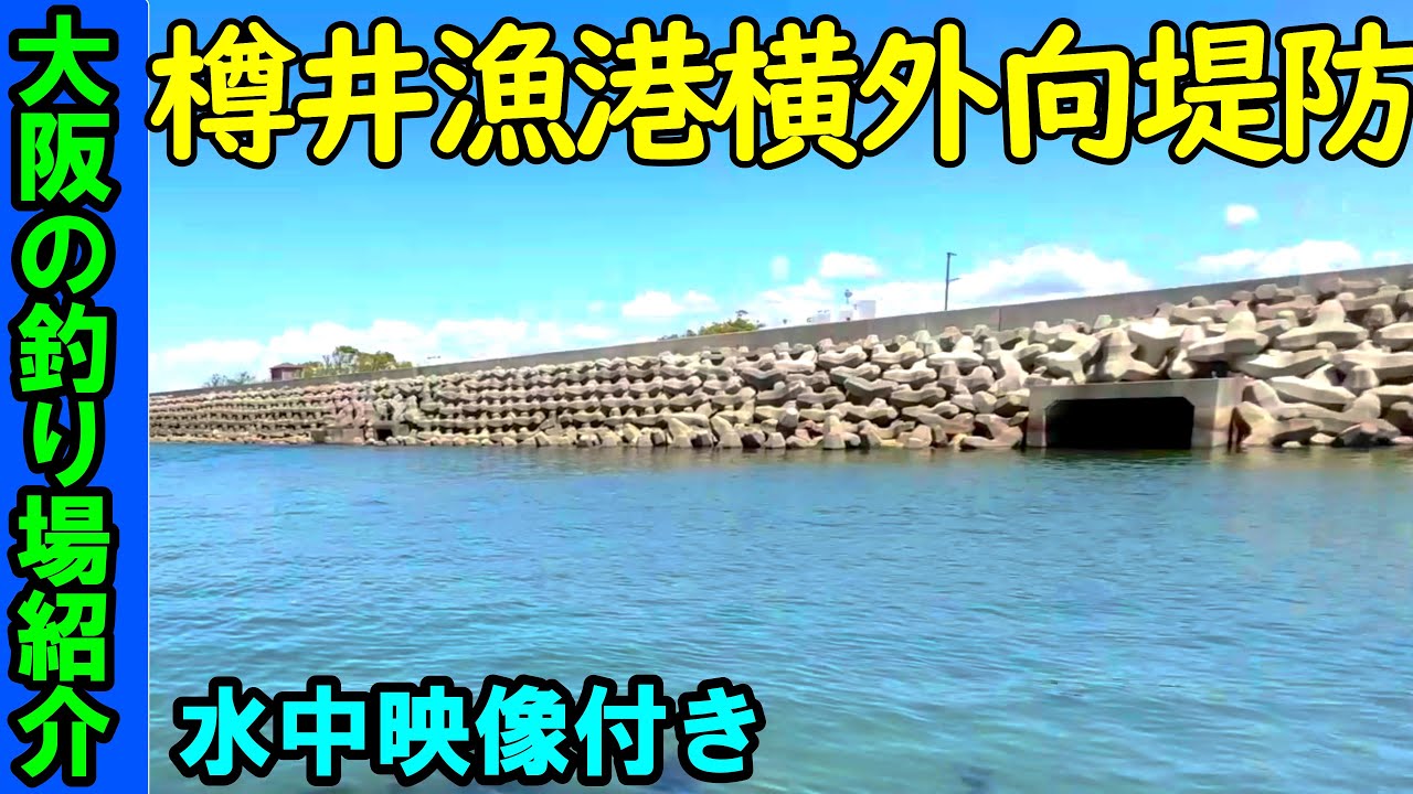 大阪の樽漁港横の堤防の釣り場を紹介！海中映像でポイントを確認【2024年最新】