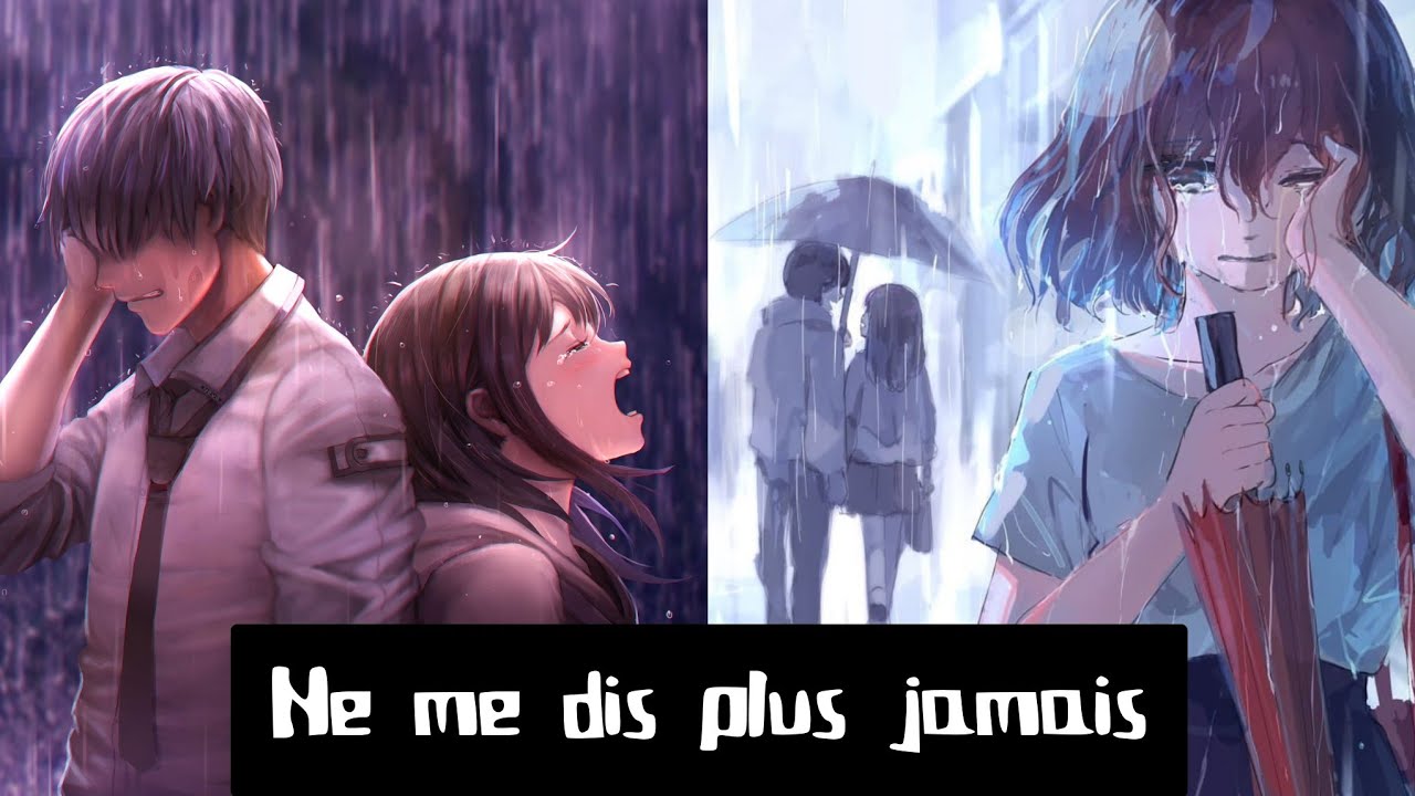 Ne me dis plus jamais AMV