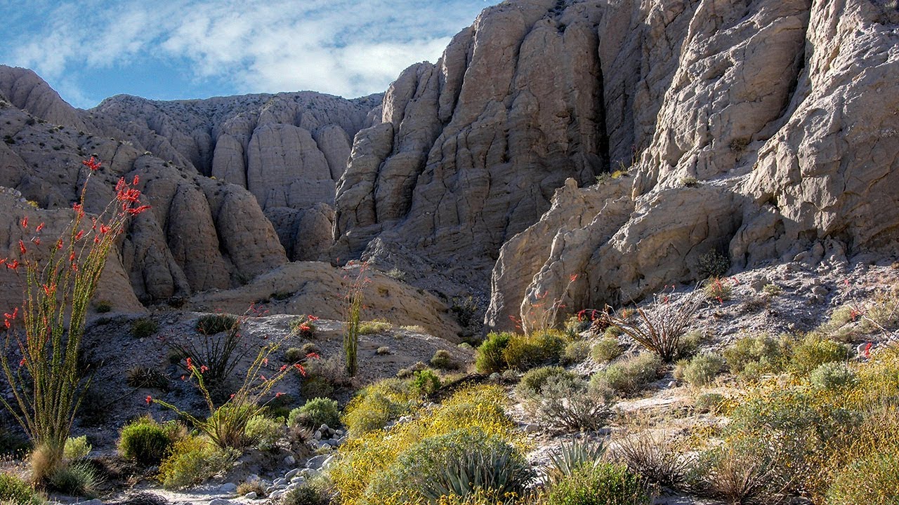 Mud Palisades of Olla Wash in Anza-Borrego