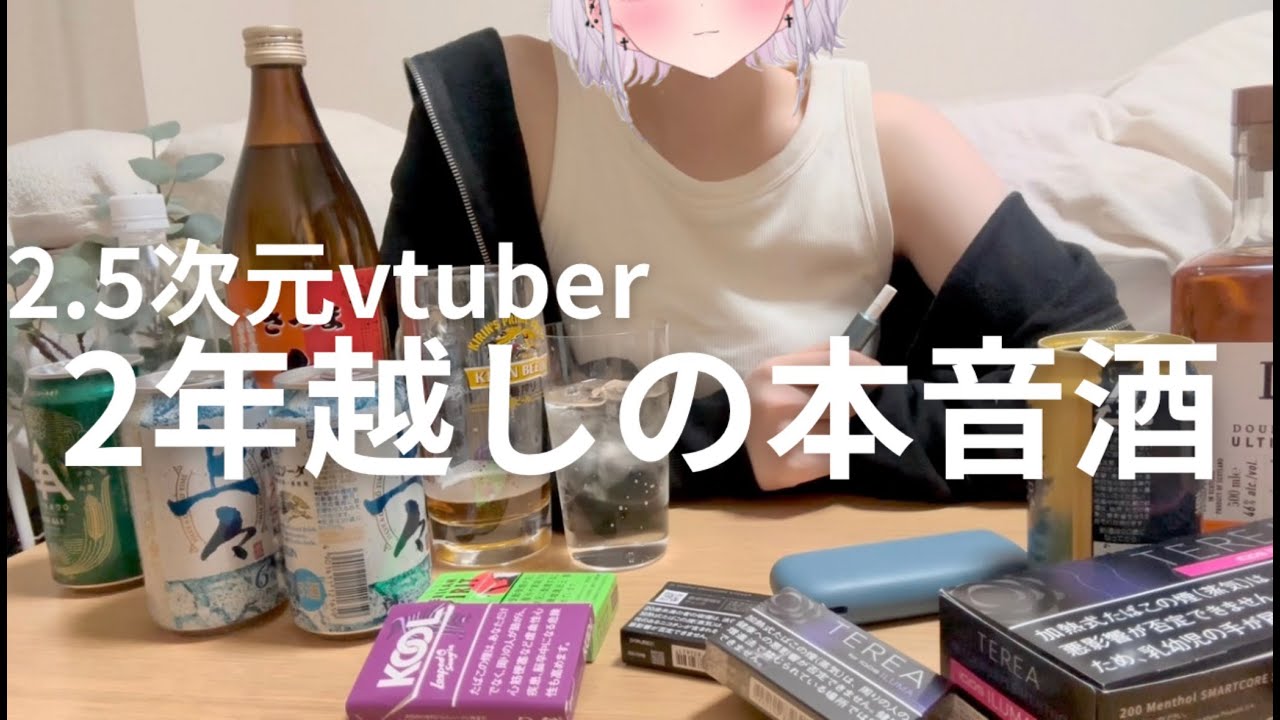 【vlog】2.5次元Vtuberが二周年を記念して泥酔で本音しゃべってみた。