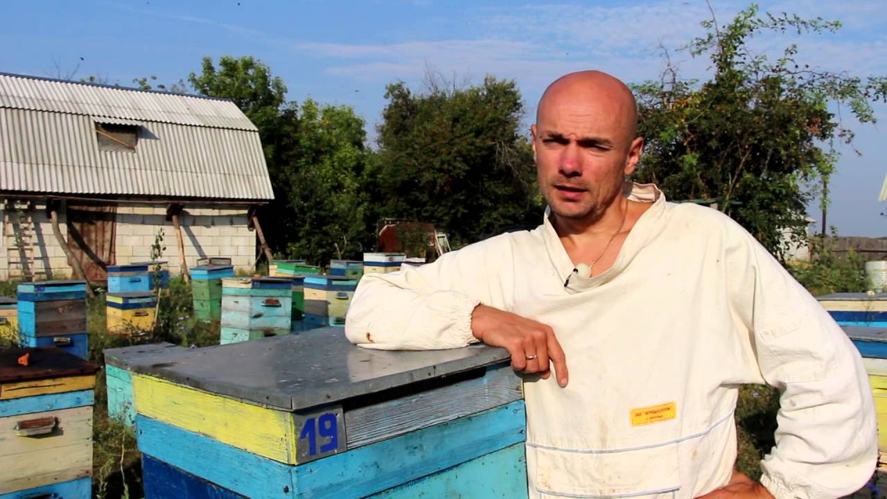 Карника во всей красе !