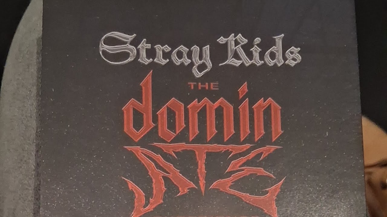 Stray Kids DominAte Experience #straykids #kpop 