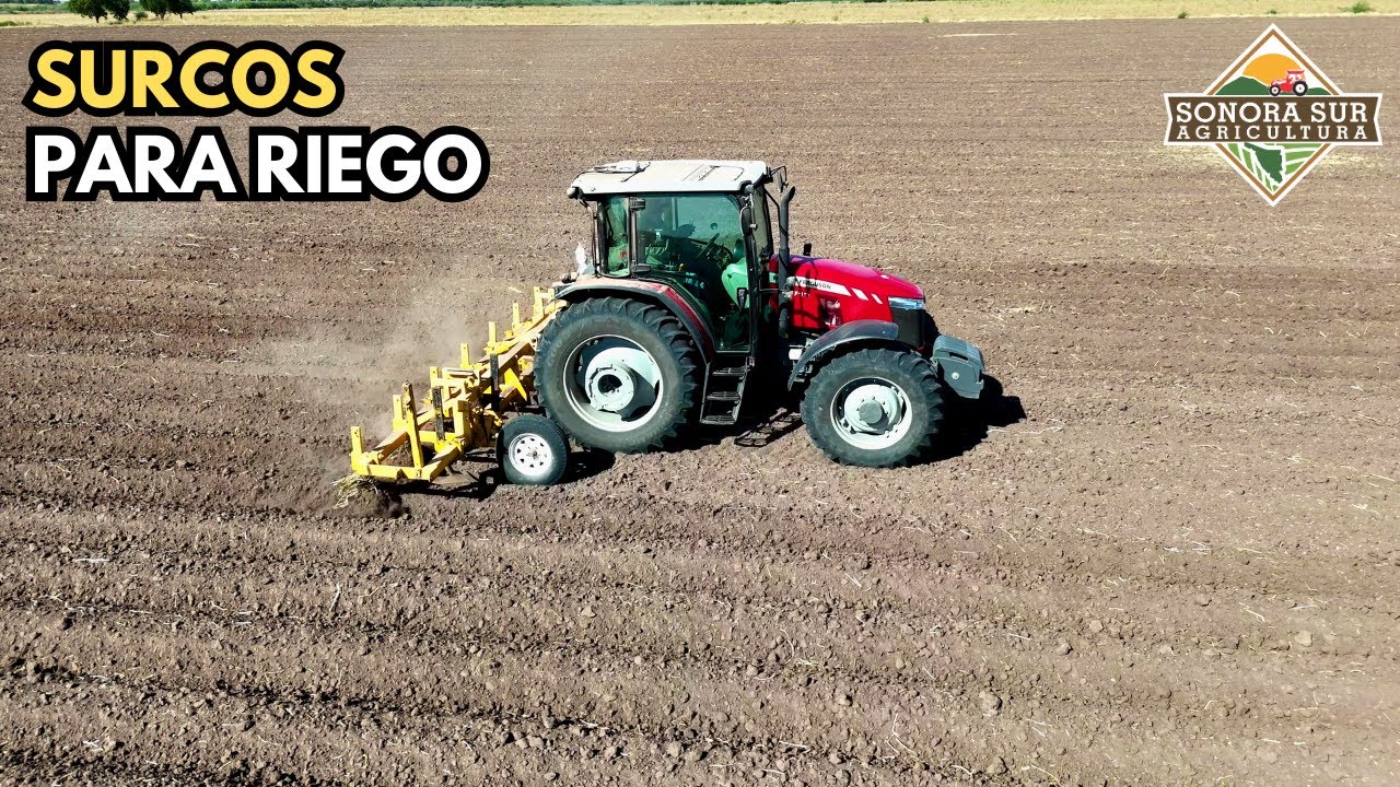 Haciendo Surcos para Regar y Sembrar antes de Navidad
