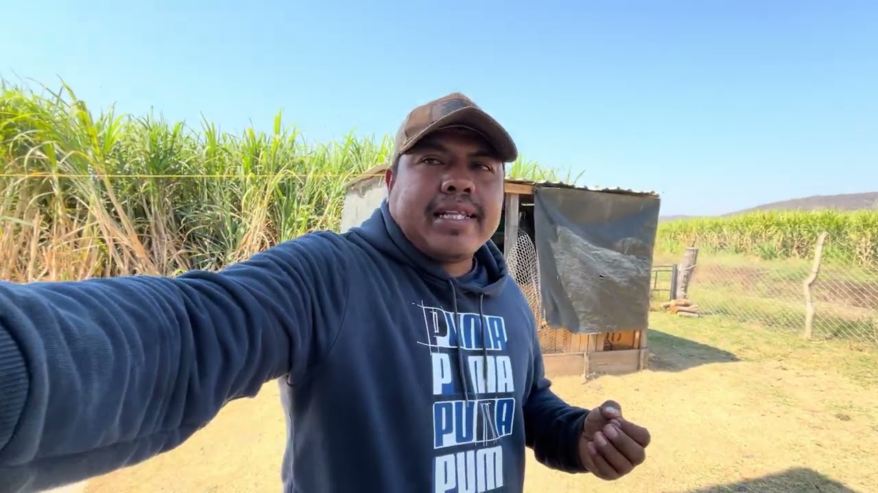 Vamos a revivir esta bomba de motor