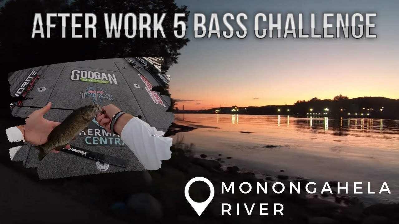 After Work 5 Bass Challenge!