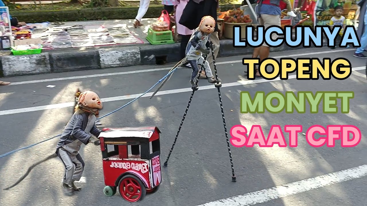 FUNNY MONKEY, TOPENG MONYET LUCU PART 7
