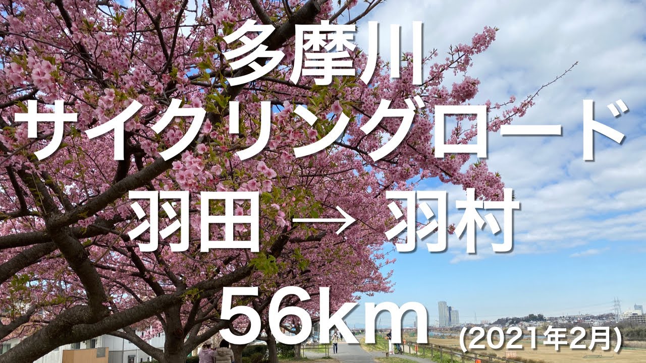 【ロードバイク】多摩川サイクリングロード（多摩サイ） 羽田→羽村市