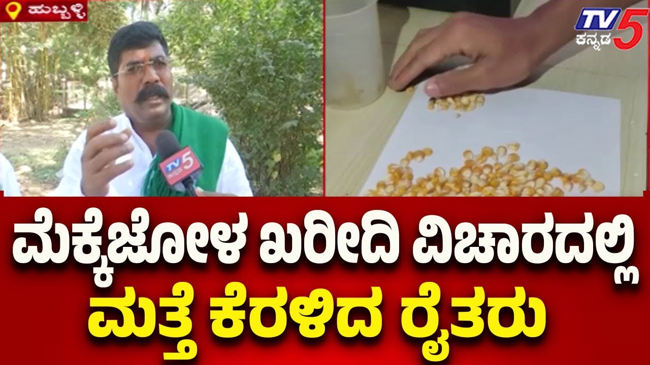 Farmers’ Anger Erupts Again in Hubballi | ಮೆಕ್ಕೆಜೋಳ ಖರೀದಿ ವಿಚಾರದಲ್ಲಿ ಮತ್ತೆ ಕೆರಳಿದ ರೈತರು..!