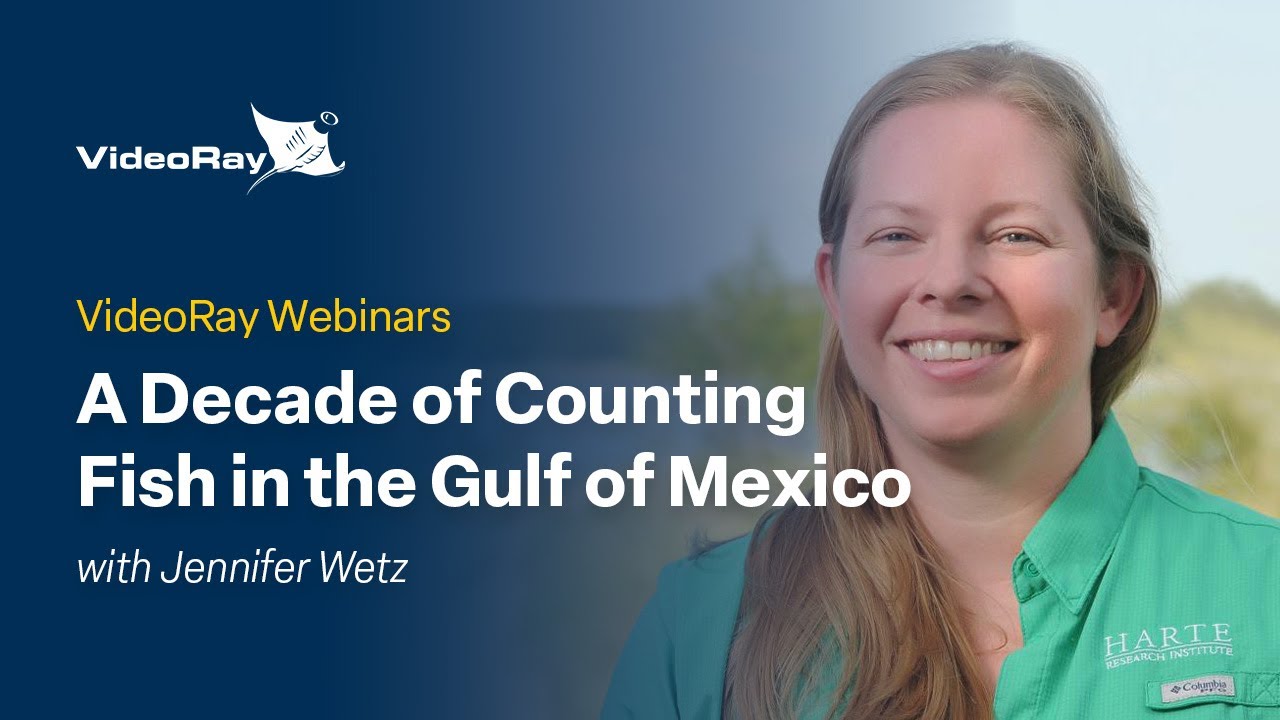VideoRay Webinar Series: A Decade of Counting Fish in the Gulf of Mexico with Jennifer Wetz