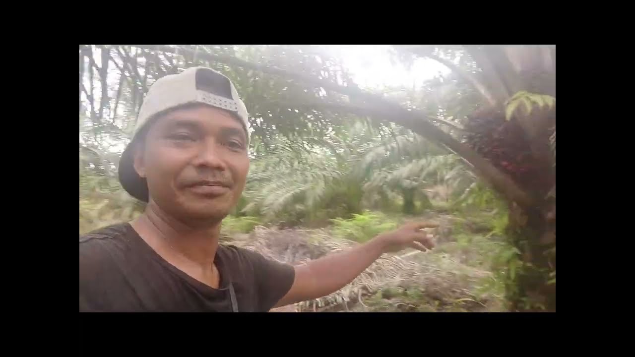 Memang mantap kalau sudah panen di Blok ini gank