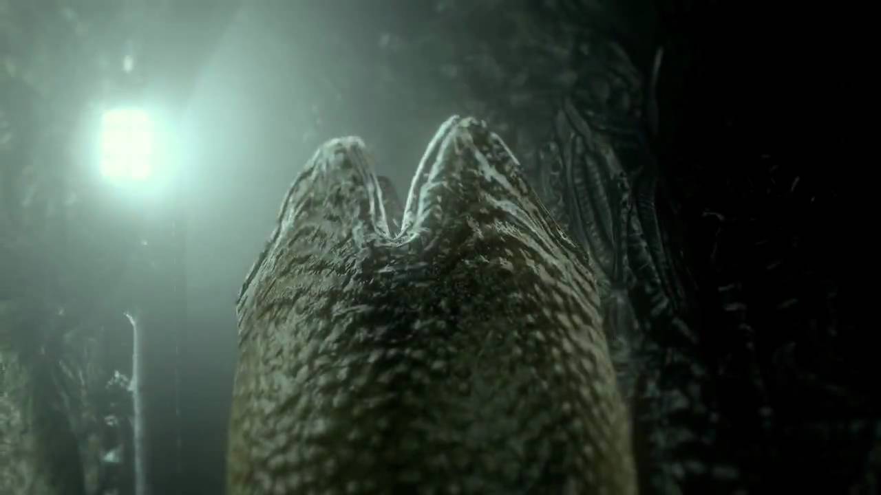Aliens vs. Predator - Histoire