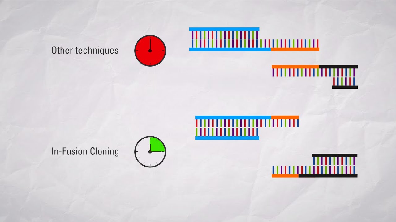 In-Fusion&reg; Cloning vs. other seamless cloning technologies