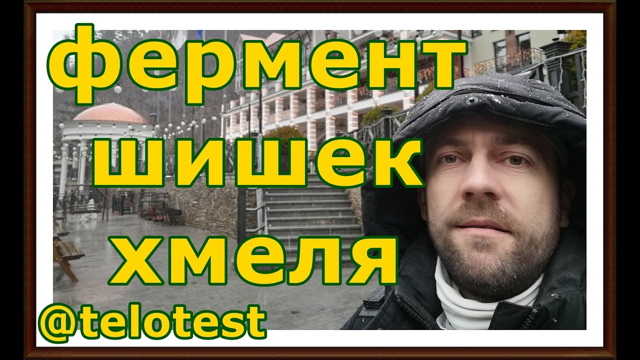 511 Приготовление фермента из шишек хмеля по технологии Б.В. Болотова