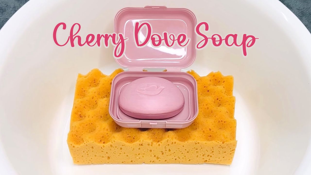 ASMR Sponge 718.Cherry Dove Soap