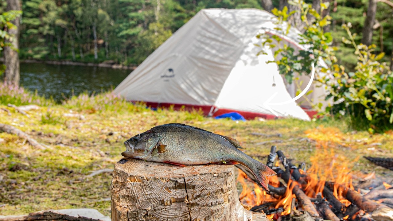 2 Jours sur une Île en Suède (Pêche, Feu de camp, Bushcraft)