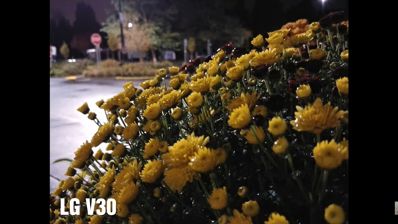 LG V30 (VS) iPhone 8 Plus Camera Comparison. AUTO MODE.. No Flash! No HDR. In The Dark.