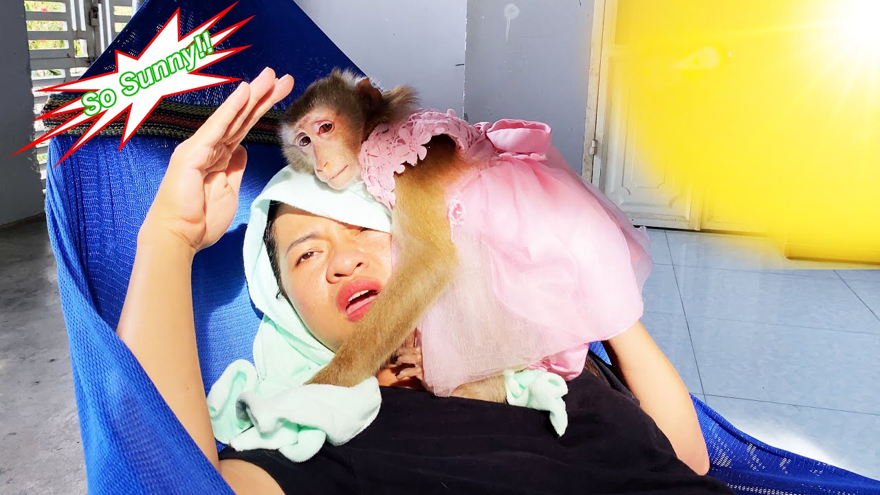 How filial! Monkey Lyly shields her mother from the strong sun.