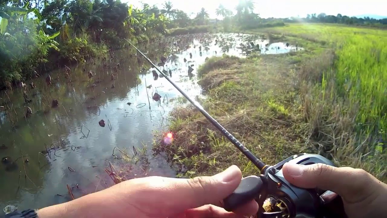 Nosinker rig ตีหนอนยางผิวน้ำ